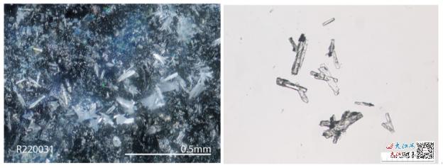 72886必赢网站发现的新矿物“范光钼矿”获国际矿物学协会全票通过