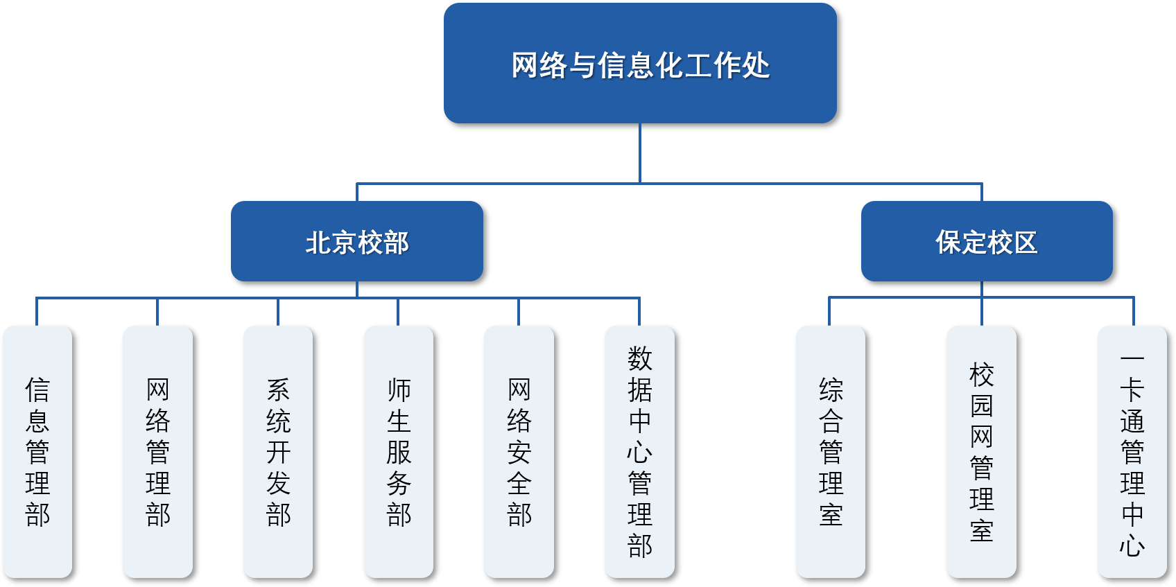 网信处.png